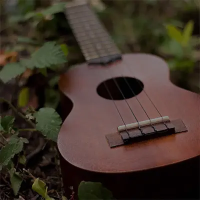 UKULELE SONG CIRCLE UKULELE SONG CIRCLE