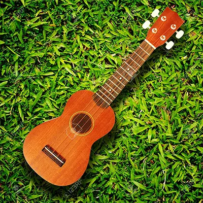 ukelele UKULELE SONG CIRCLE