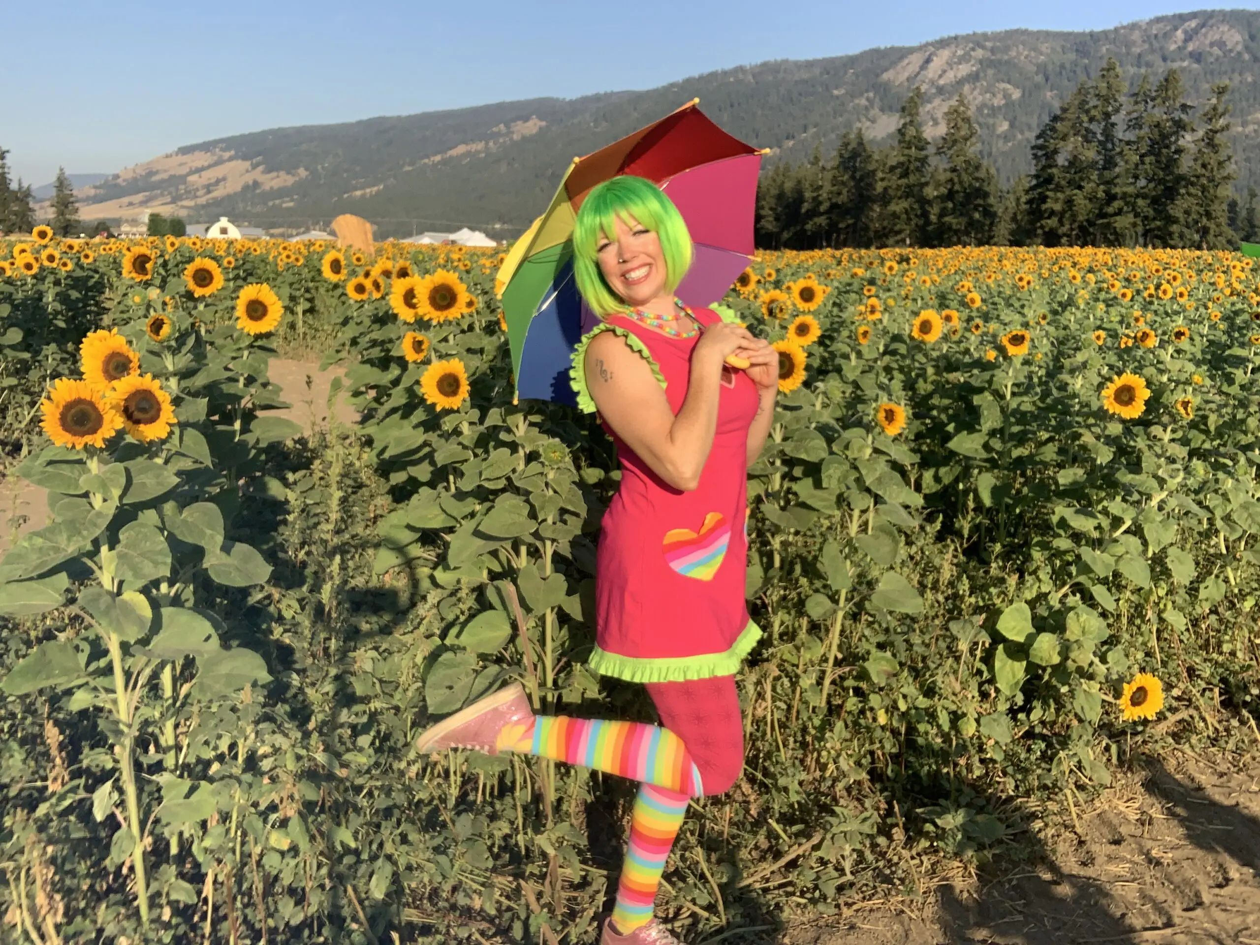 Kiki the Eco Elf Kiki the Eco Elf