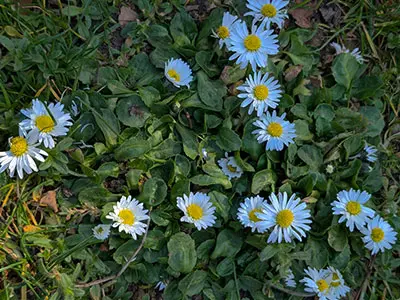 Mindful Photography