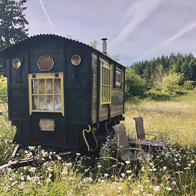 Step into the Past, Ignite Your Imagination: The Vintage Book Caravan Experience
